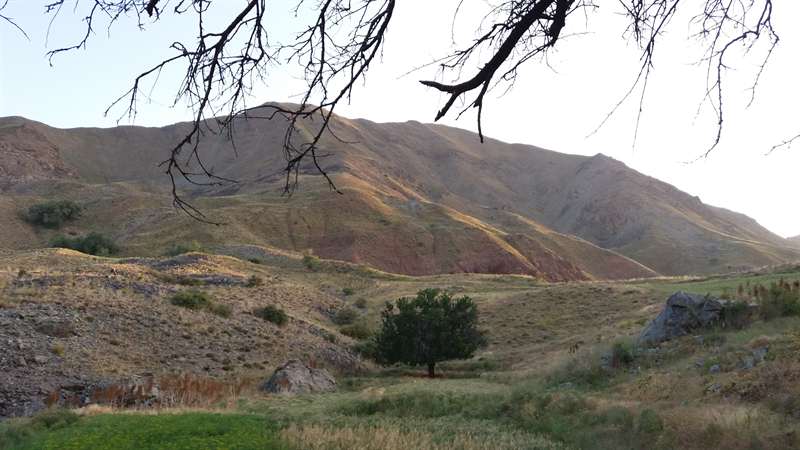 کوه سیاه - تربت حیدریه-کدکن
