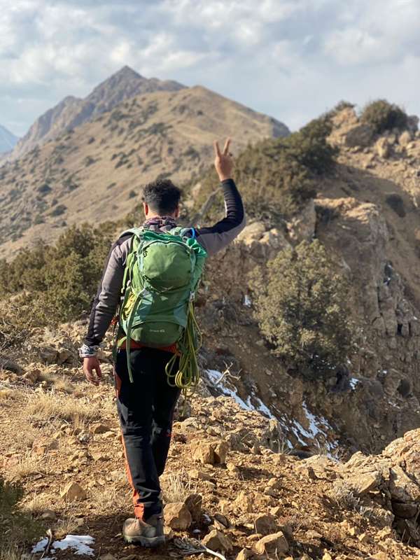 دایلی