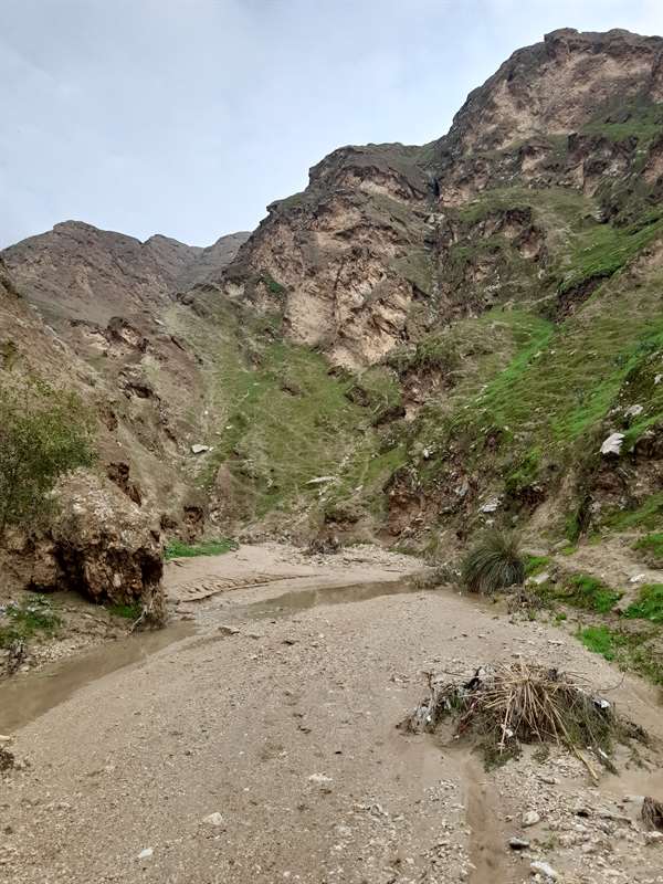 کله قندی رامهرمز